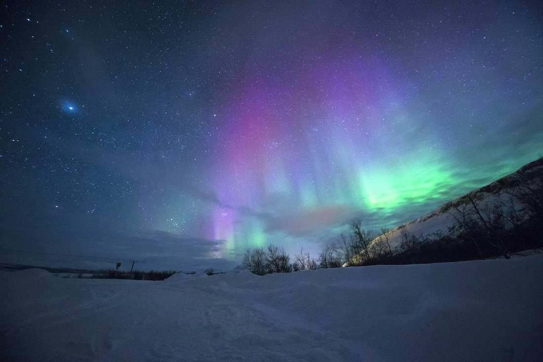 The northern lights over a snowfield