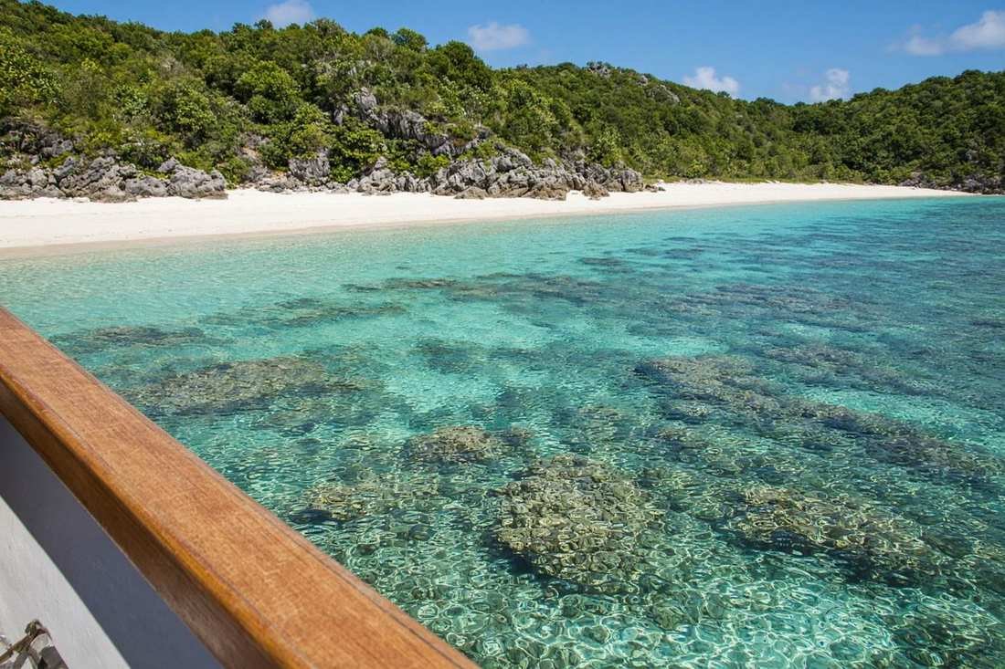 A snorkeler over a coral reef
